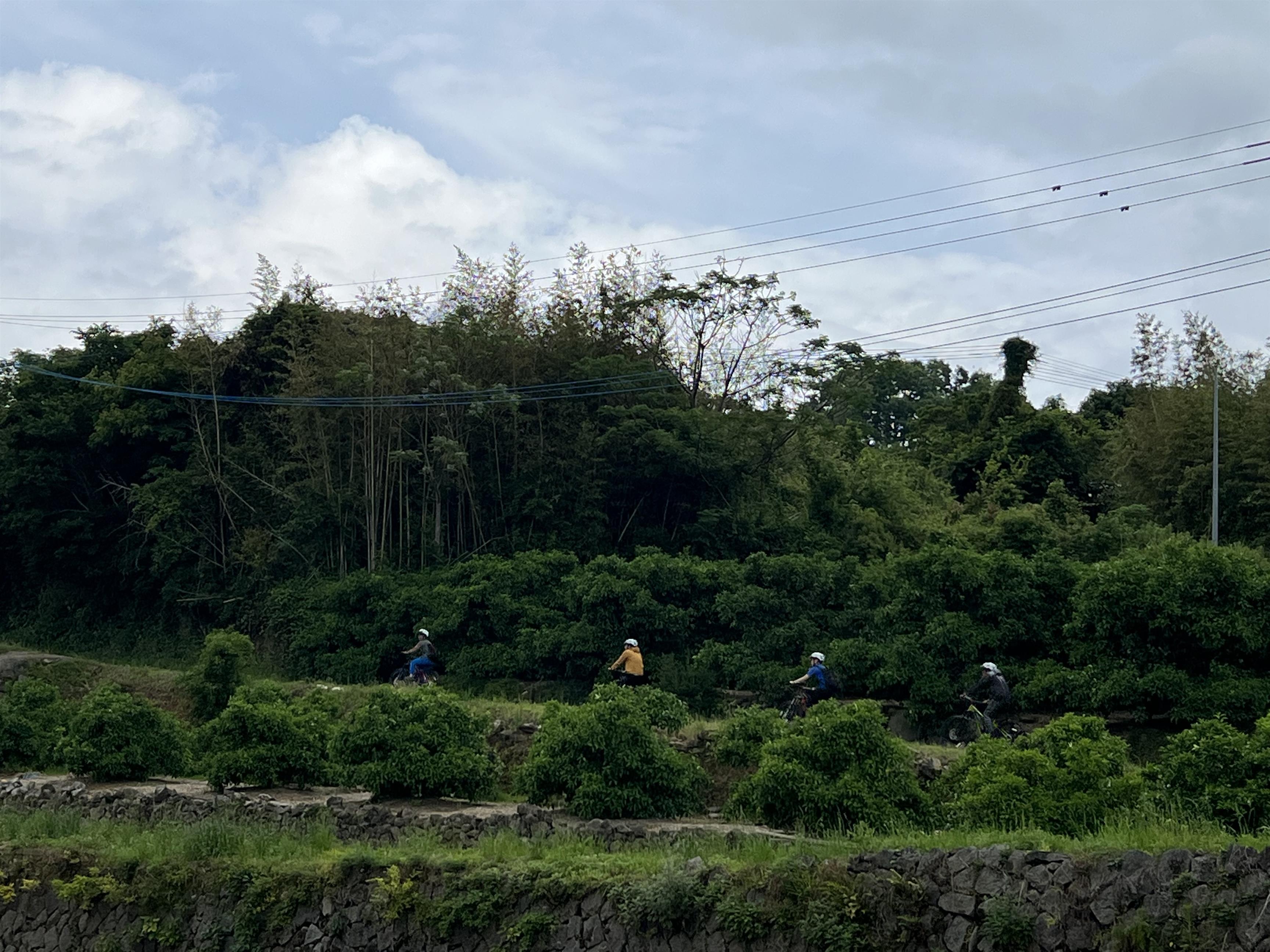 笠山林道