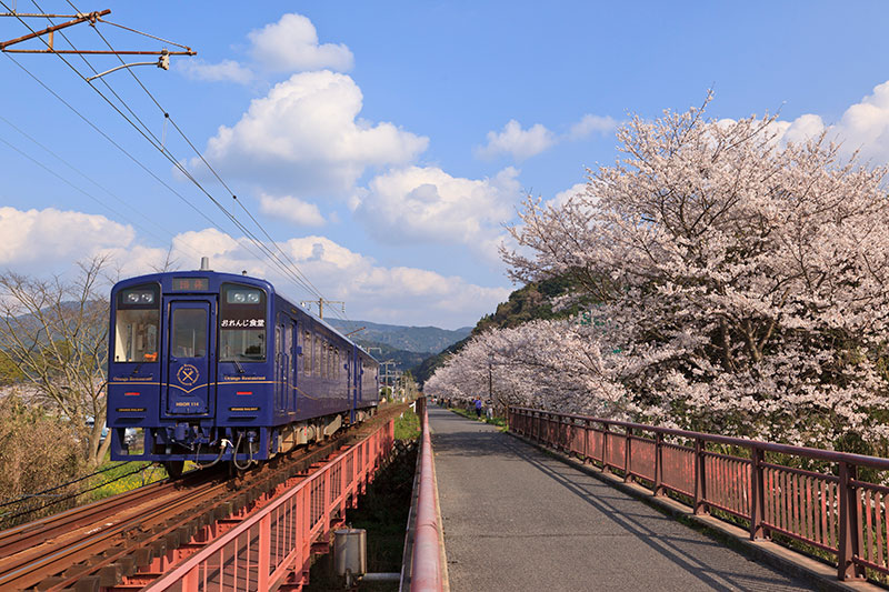 おれんじ食堂列車と水俣・新水俣